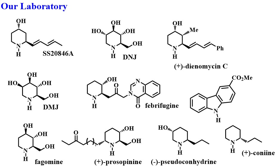 医療を指向する天然物医薬品化学